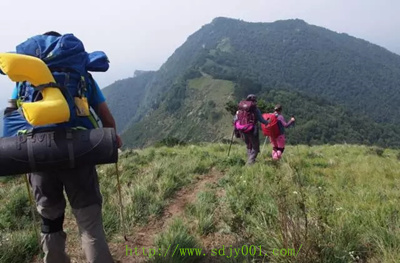 155296280091967.jpg 有網(wǎng)址.jpg