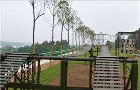 150572175897756.png 大2_副本.png