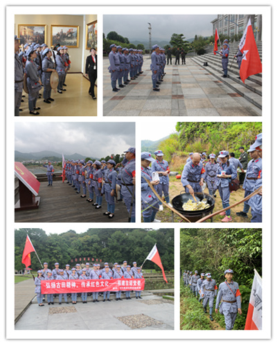 156204815728326.jpg 155901396684485.jpg