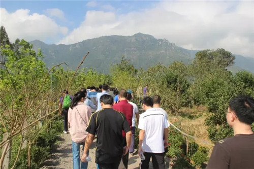 161527267092741.jpg 640.webp (7)_副本.jpg