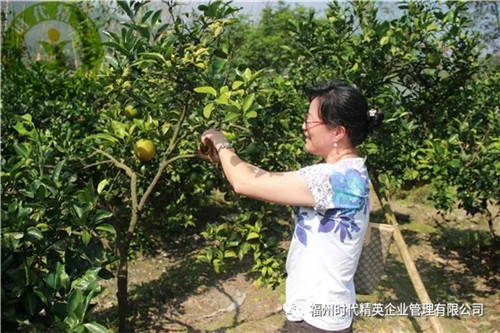 161527278451148.jpg 640.webp (4)_副本.jpg