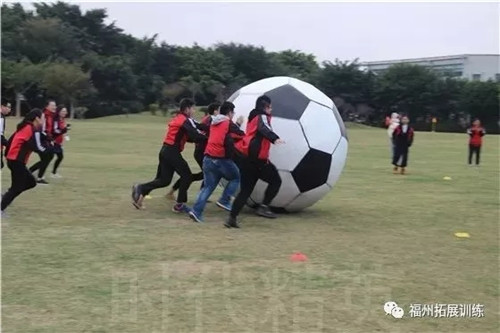 161527281895368.jpg 640.webp (3)_副本.jpg