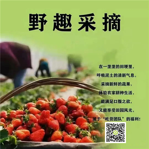 164577867715787.jpg 5..jpg