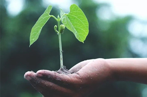 164698251073781.jpg 640 (5)_副.jpg