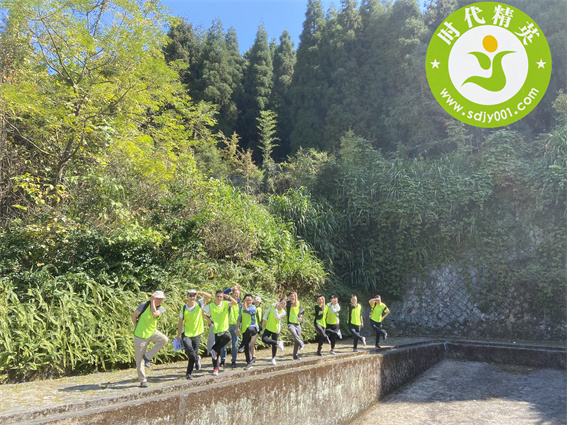 167875957017772.jpg 1102_20.jpg