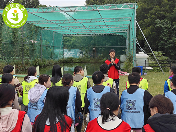 173345140396789.jpg IMG_20241123_115453.jpg